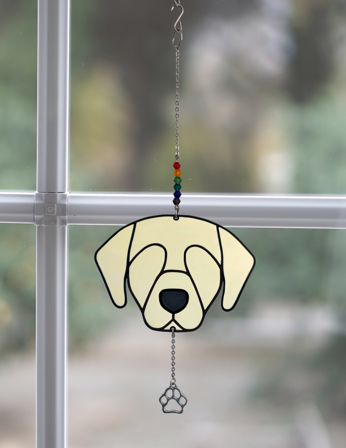 Lab Sun Catcher