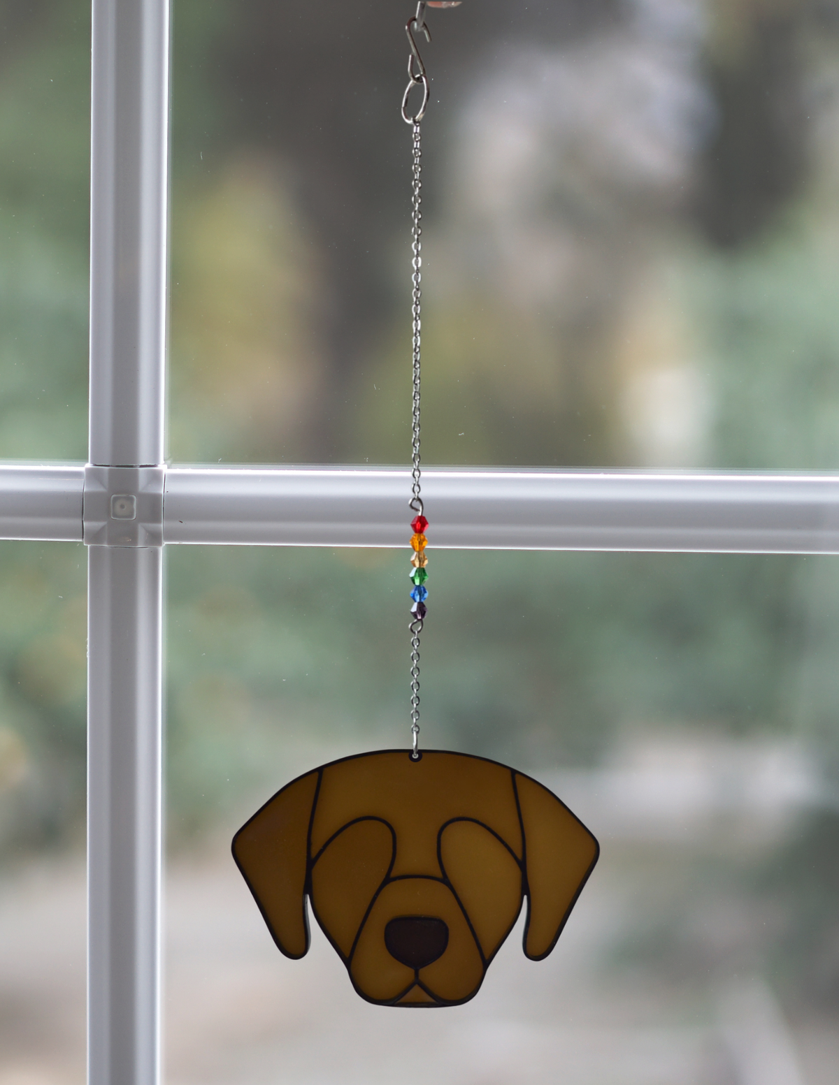 Lab Sun Catcher