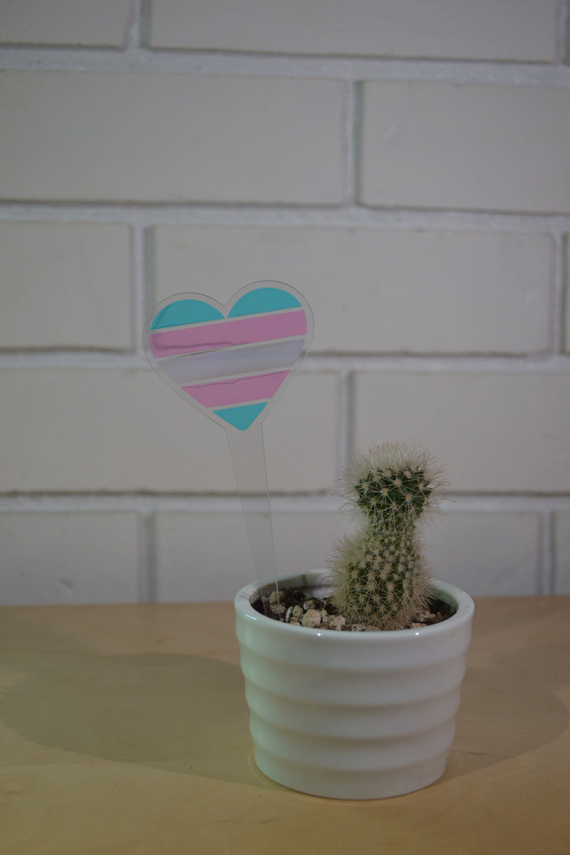 Transgender Pride Plant Stake
