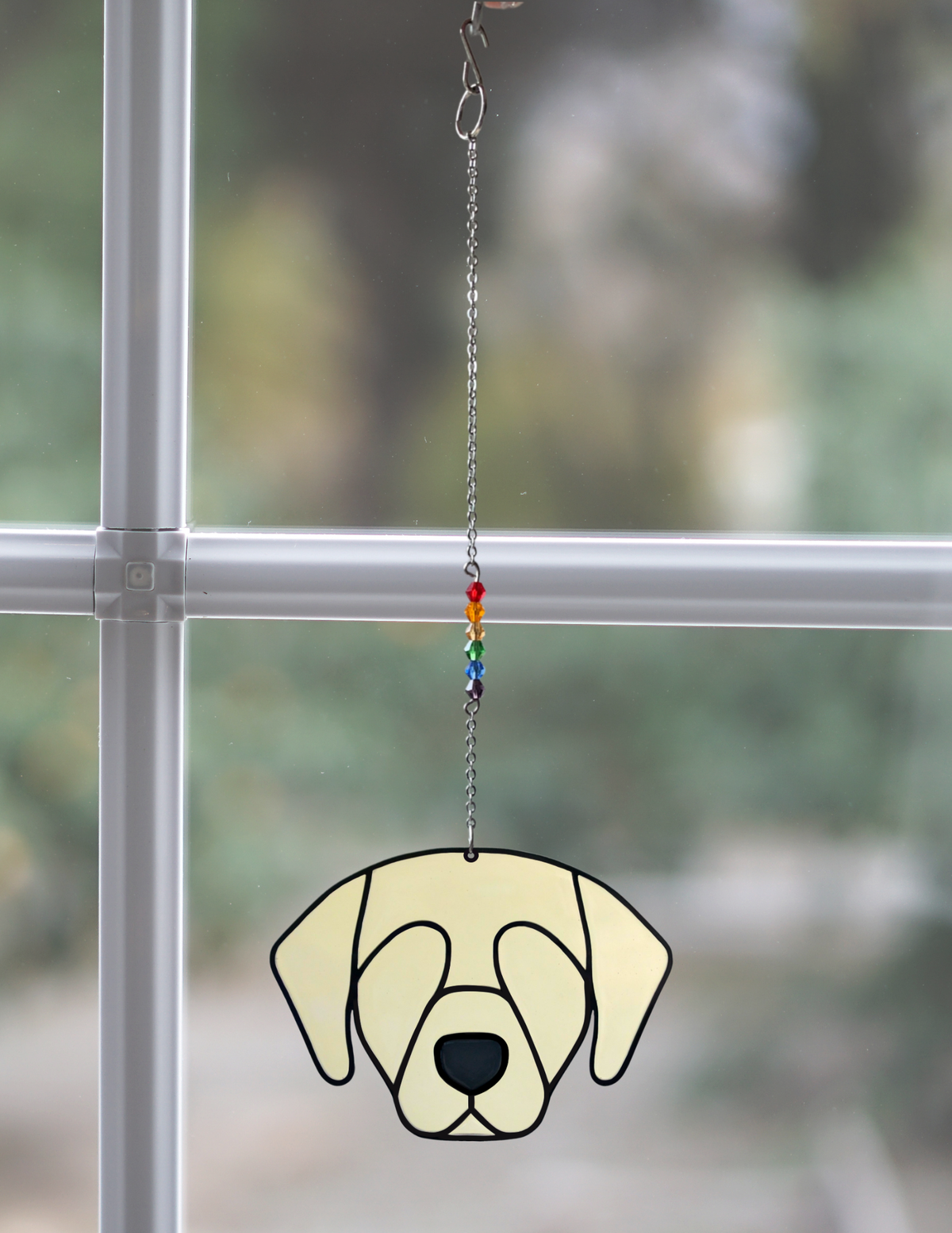 Lab Sun Catcher