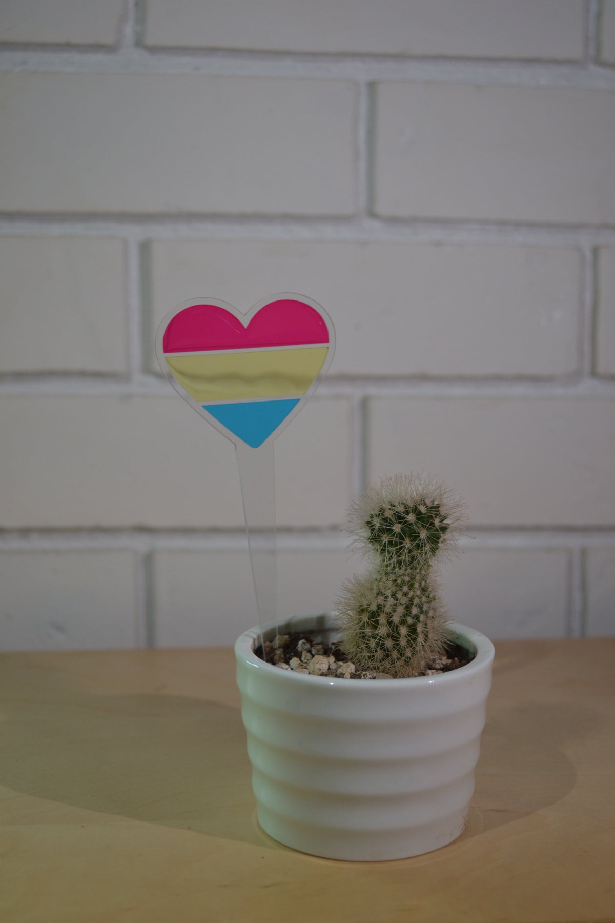 Pansexual Pride Plant Stake